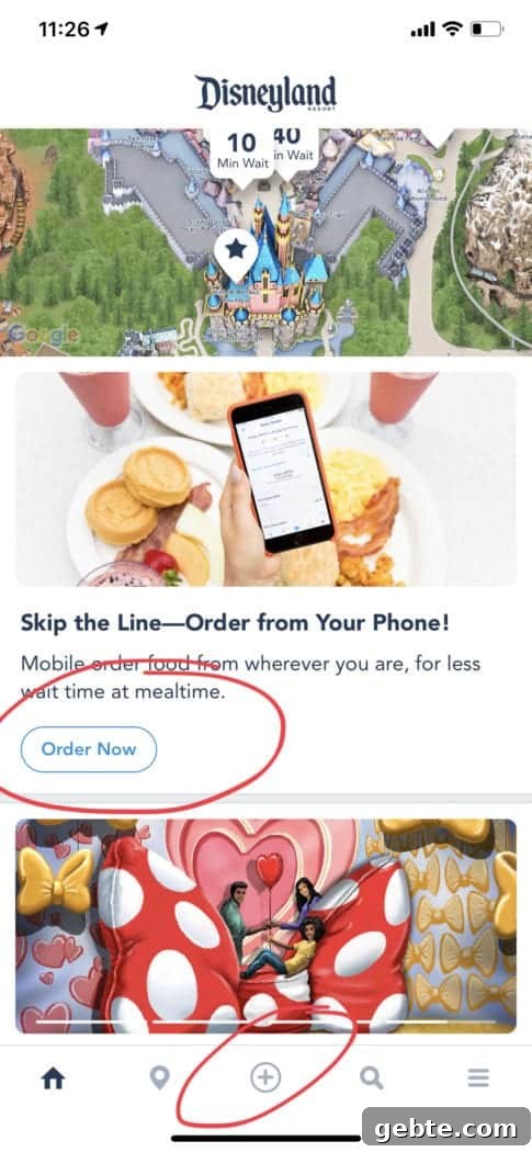 disneyland tips
