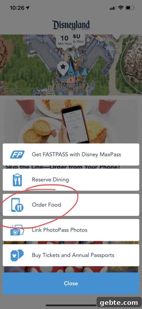 disneyland tips