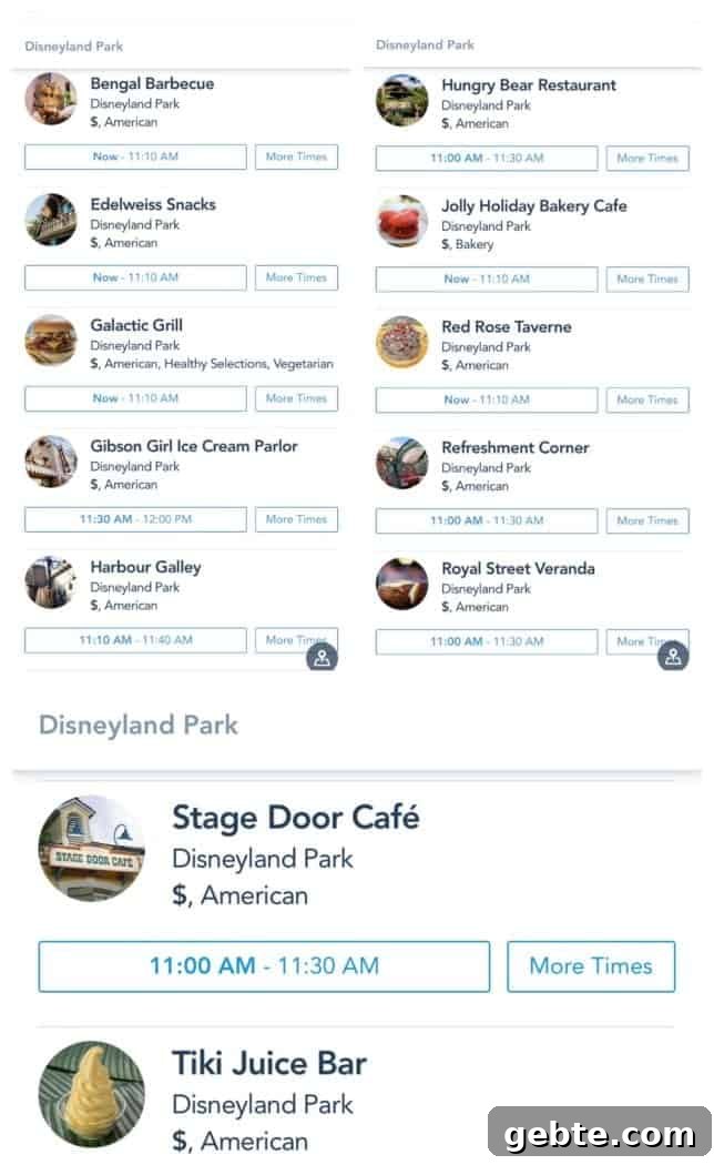 disneyland tips