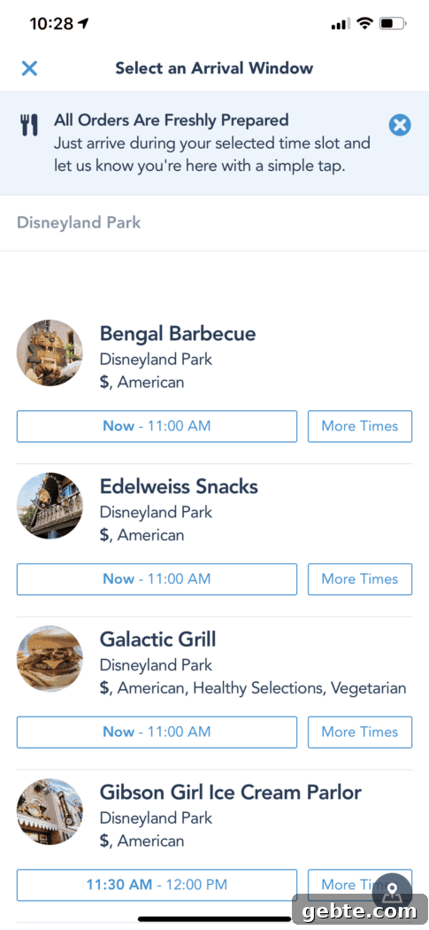 disneyland tips