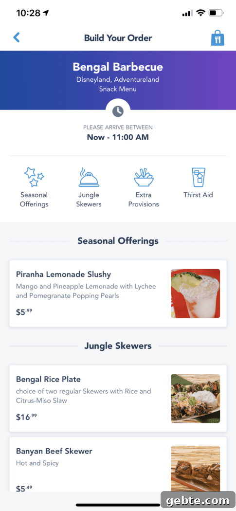 disneyland tips