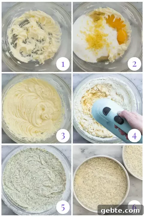 how to make poppy seed cake layers