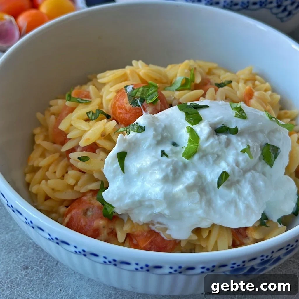 Creamy Burrata Pasta with Roasted Cherry Tomatoes 2 A bowl of orzo pasta mixed with cherry tomatoes, topped with a generous dollop of creamy burrata cheese and garnished with chopped fresh basil.