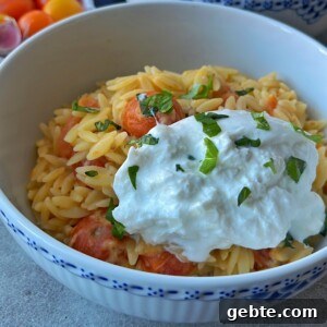 Creamy Burrata Pasta with Roasted Cherry Tomatoes 10 A bowl of orzo pasta mixed with cherry tomatoes, topped with a generous dollop of creamy burrata cheese and garnished with chopped fresh basil.