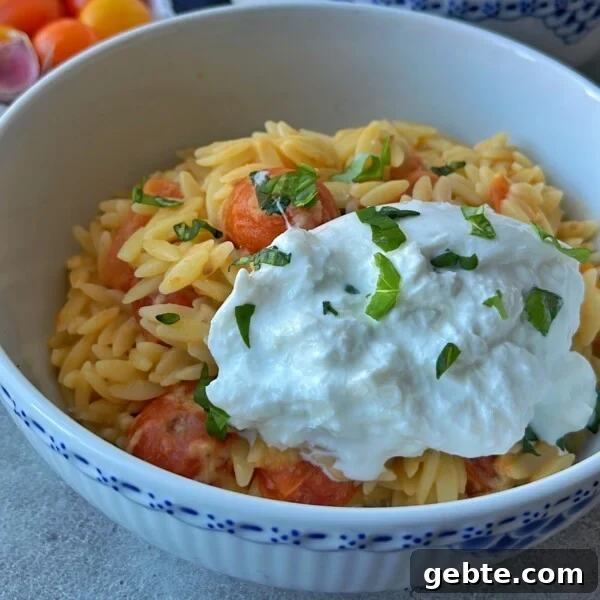 A bowl of orzo pasta mixed with cherry tomatoes, topped with a generous dollop of creamy burrata cheese and garnished with chopped fresh basil.
