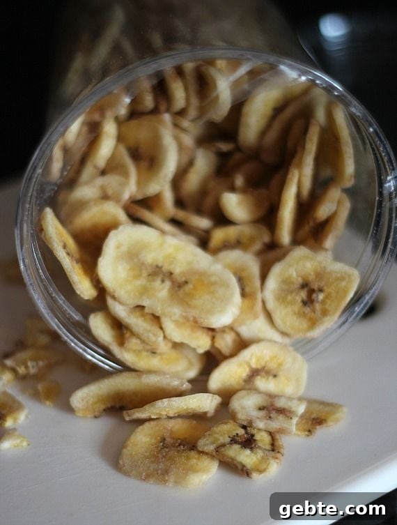 Top view of sliced banana chips in a jar