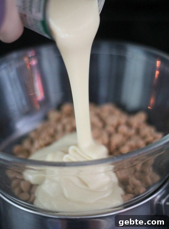 Peanut butter chips and sweetened condensed milk in a double-boiler bowl