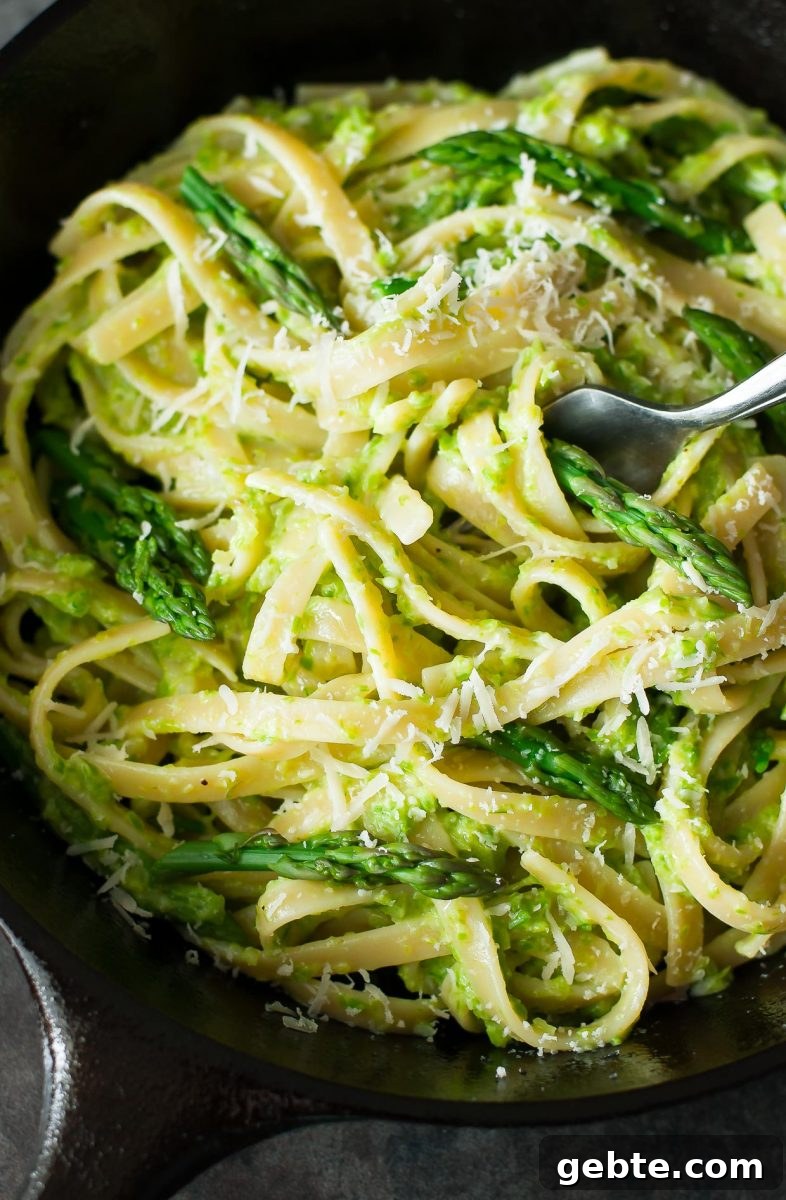 Creamy Alfredo Asparagus Pasta 3 Asparagus Pasta with Creamy Alfredo Sauce Recipe