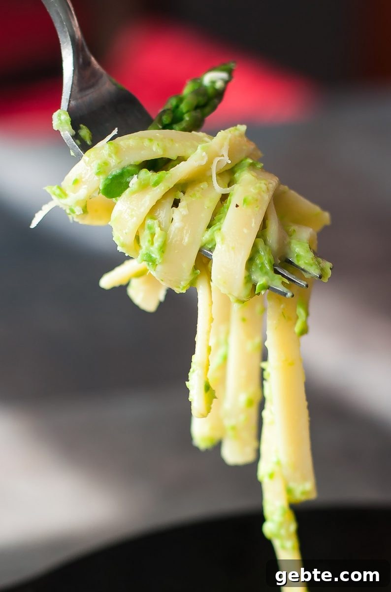 Creamy Alfredo Asparagus Pasta 4 Asparagus Alfredo Pasta twirled on a fork