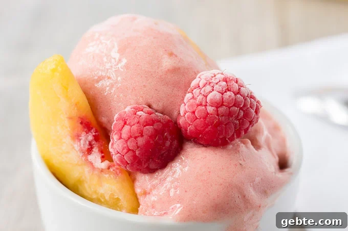 close up of raspberry peach nice cream slightly melting in a white bowl with frozen fruit also in the bowl.