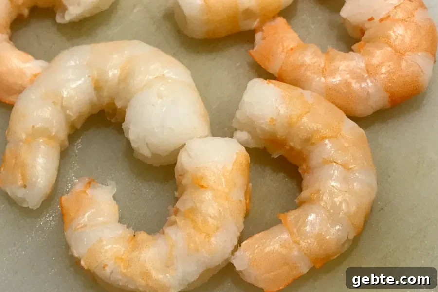 shrimp 