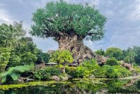 Animal Kingdom Restaurants Guide: Hits and Misses
