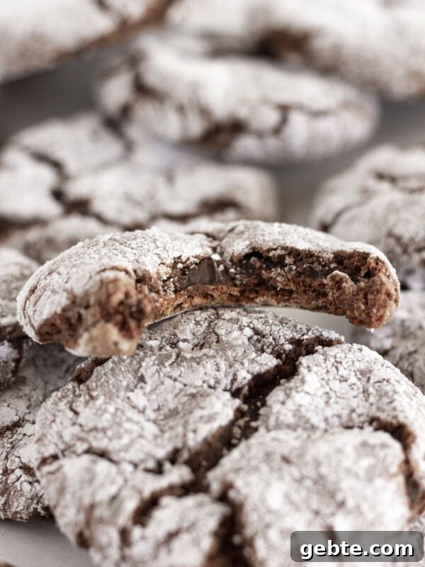 A tray of chocolate crinkle cookies.