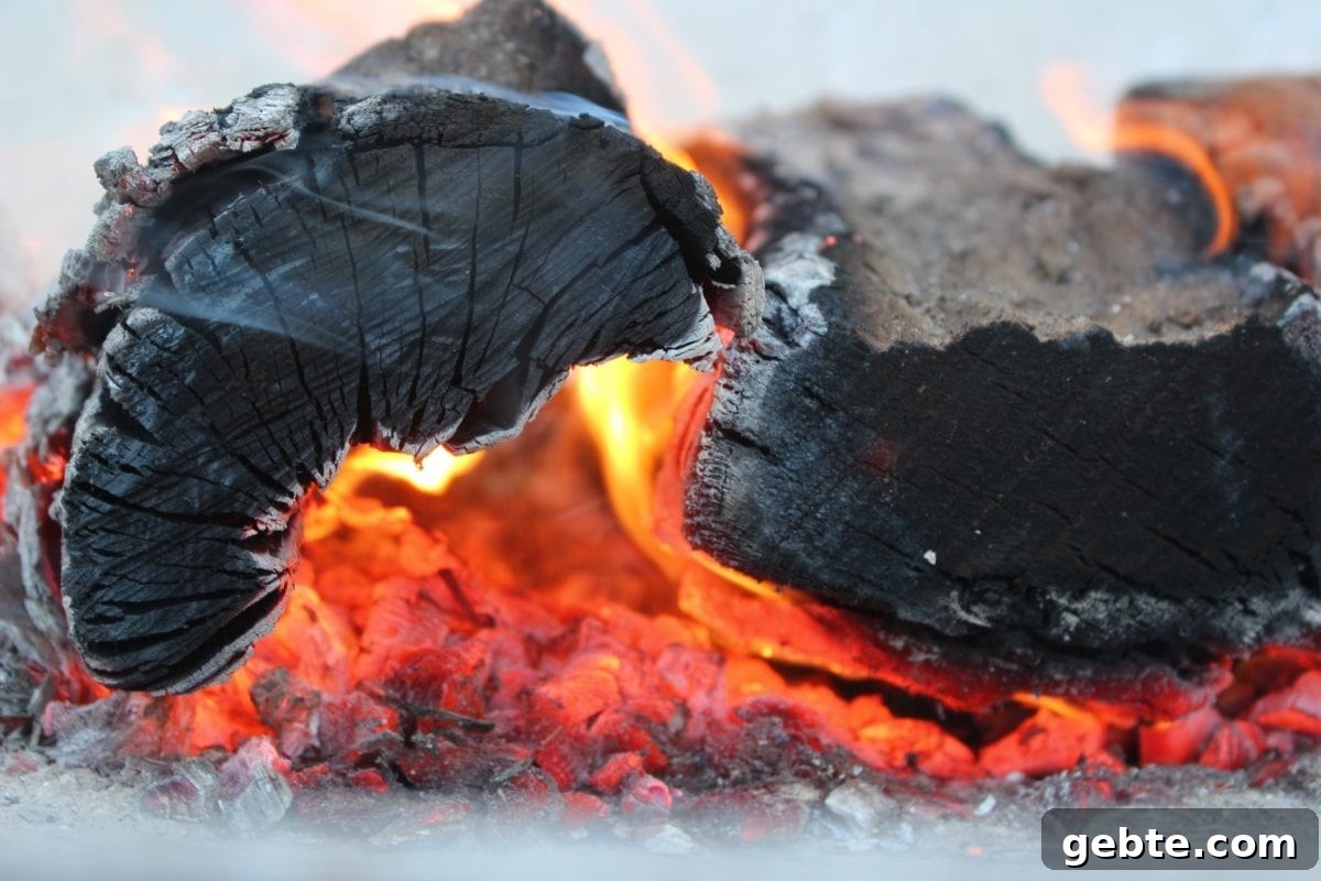 10 Open Fire Desserts to Make on Your Next Campfire 7 Coal