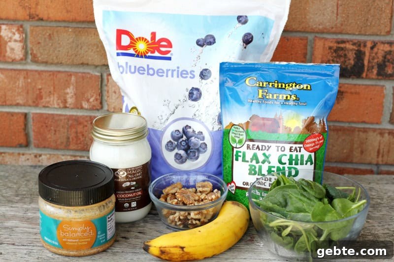 Blueberry Protein Smoothie - perfect to power-up your day!