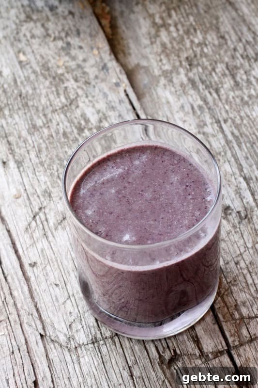 Blueberry Protein Smoothie - perfect to power-up your day!