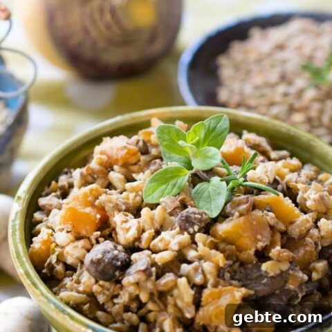 Vegan Instant Pot One-Pot Lentils and Rice from The Ultimate Vegan Cookbook for Your Instant Pot
