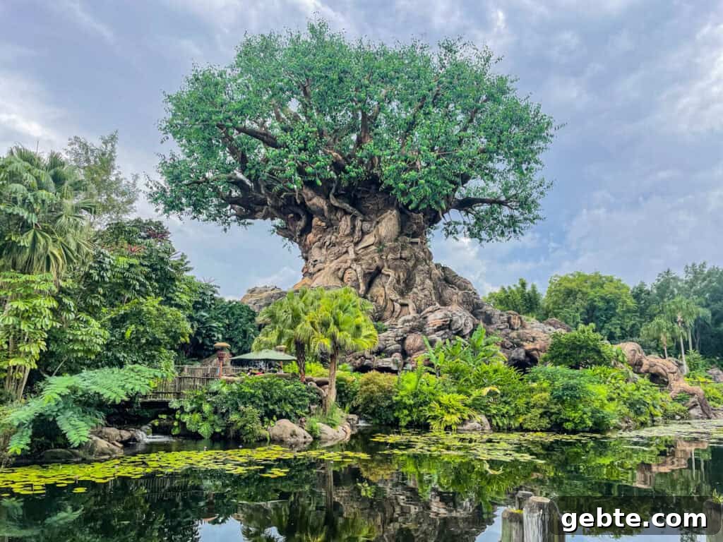 Tree of Life at Disney's Animal Kingdom.