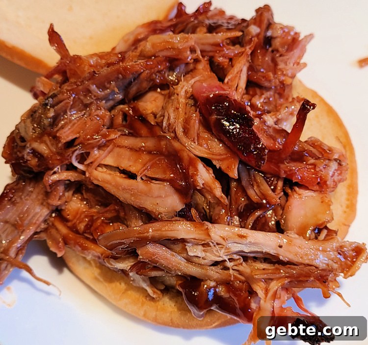 Pulled pork sandwich covered in BBQ sauce
