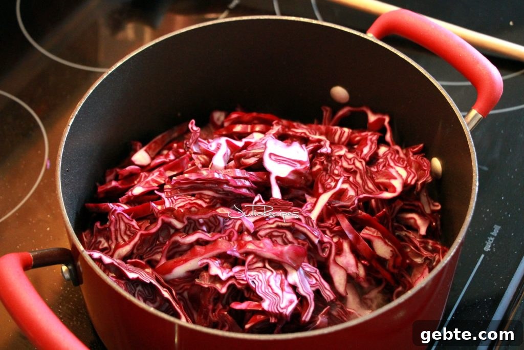 raw red cabbage in casserol