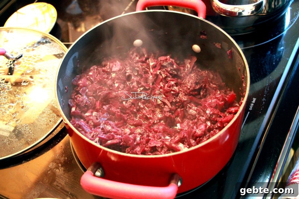 red cabbage in casserole