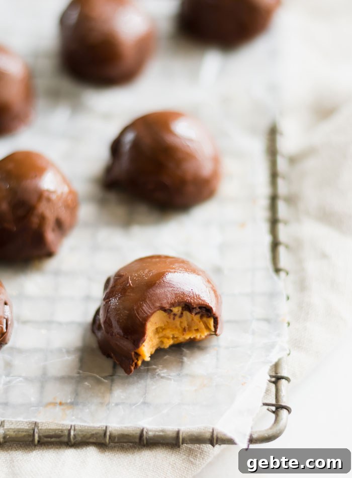 A chocolate peanut butter ball with a bite out of it on a cooking rack.