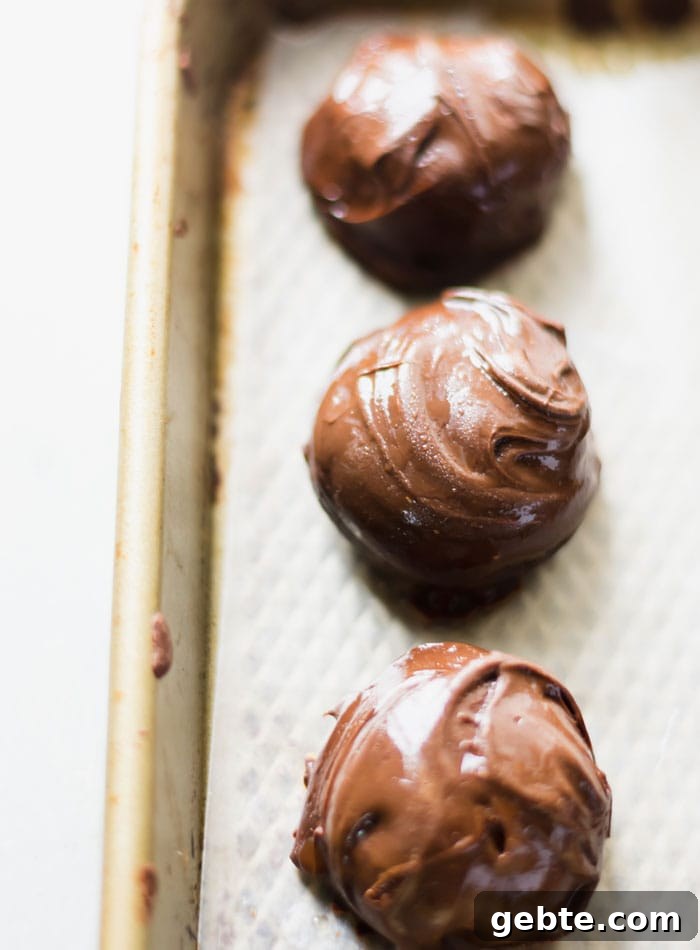 3 chocolate covered peanut butter balls on a baking tray.