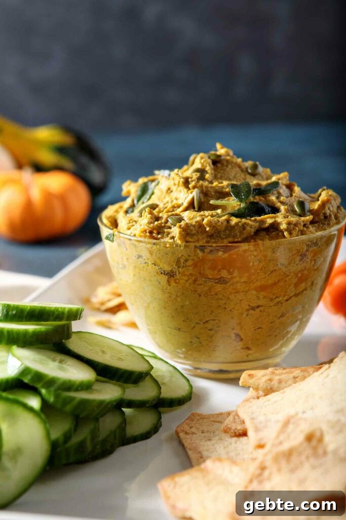 Close up of a bowl of the Sage Pumpkin Hummus, from the side