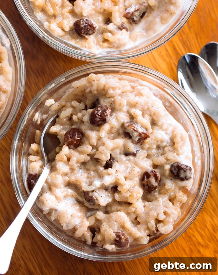 The Best Vegan Rice Pudding Without Eggs The Best Vegan Rice Pudding Without Eggs