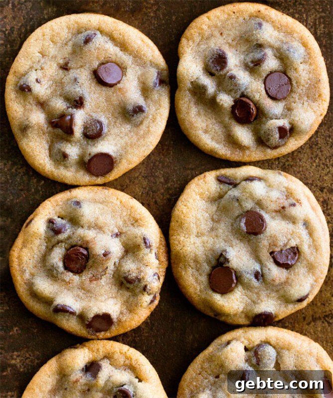 Creamy Vegan Rice Pudding Recipe with Coconut Milk 2 Vegan Chocolate Chip Cookies
