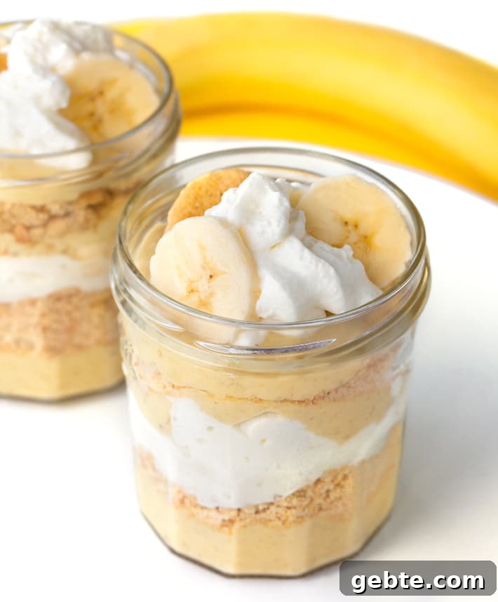 Creamy Vegan Rice Pudding Recipe with Coconut Milk 4 The Best Creamy Vegan Banana Pudding