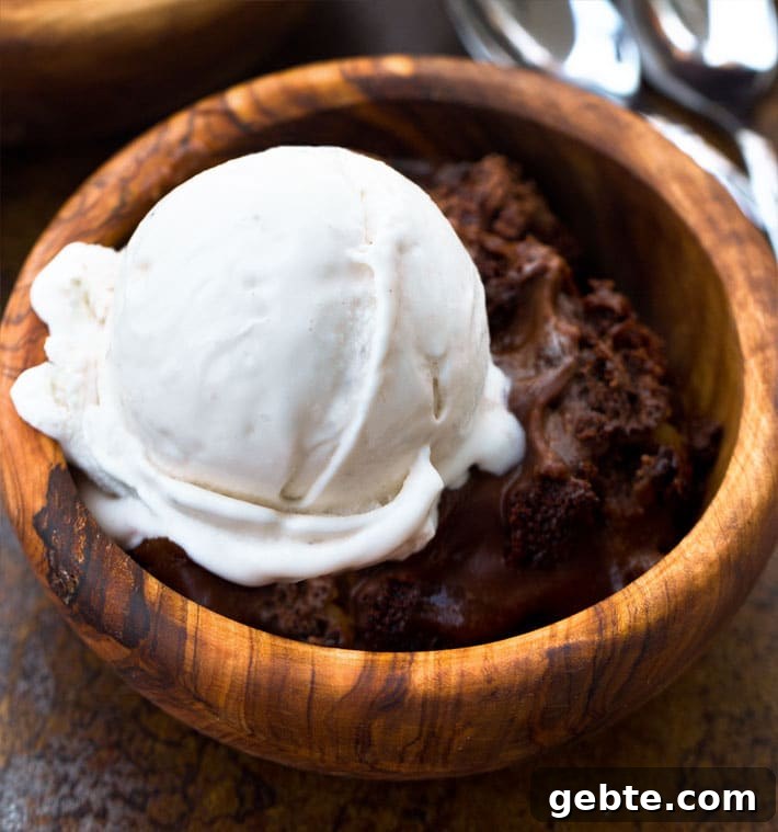 Creamy Vegan Rice Pudding Recipe with Coconut Milk 8 Gooey Chocolate Pudding Cake Recipe