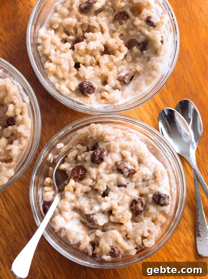 Vegan Rice Pudding Recipe Vegan Rice Pudding Recipe