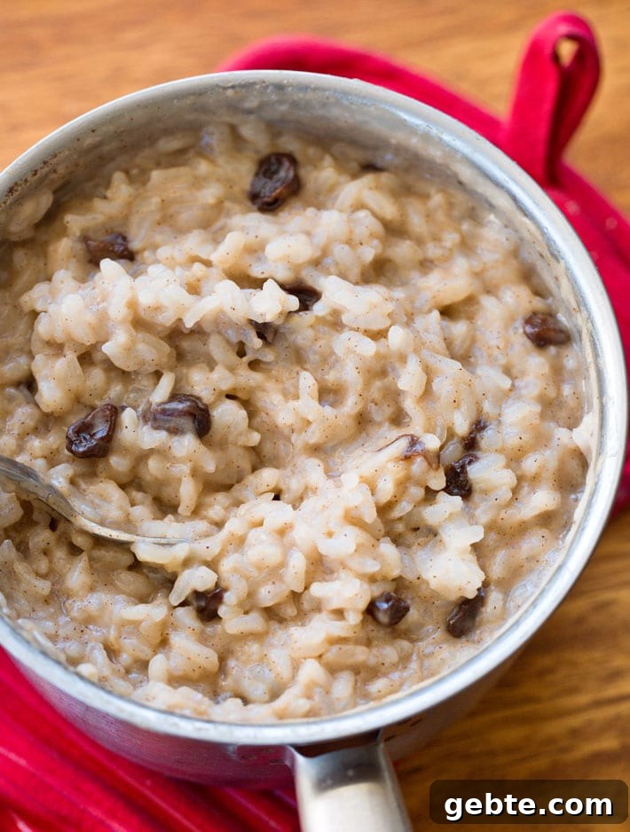 Vegan Rice Pudding With Raisins Recipe Vegan Rice Pudding With Raisins Recipe