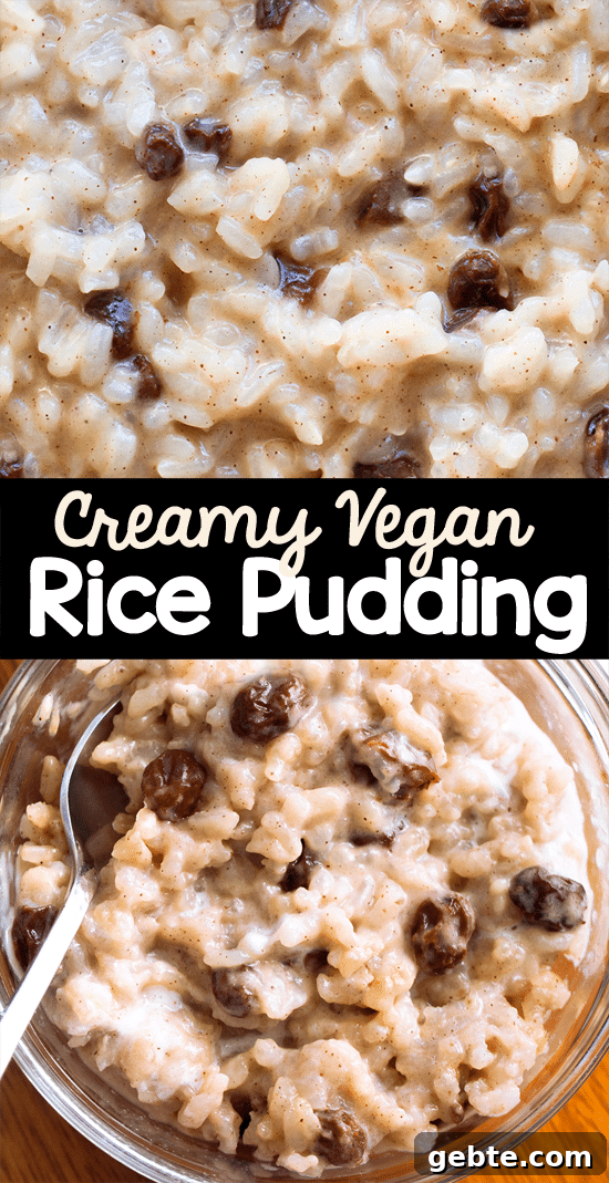 Creamy Vegan Rice Pudding Dessert Creamy Vegan Rice Pudding Dessert