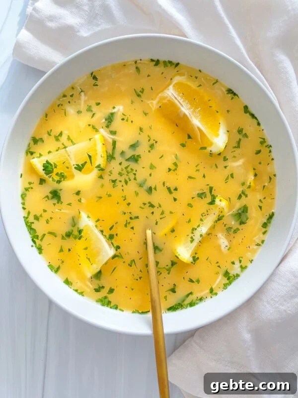 Chicken Soup with Hidden Vegetables for Picky Kids 3 Greek Lemon Soup