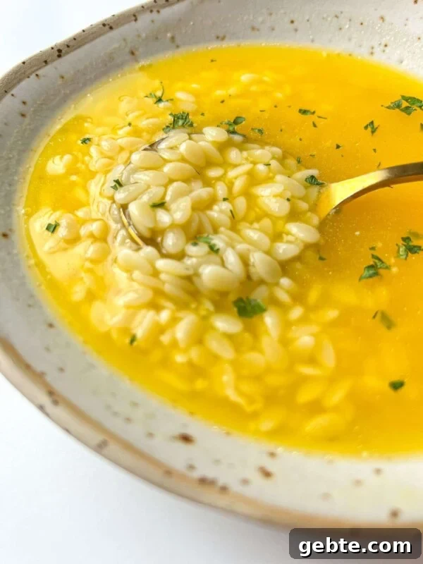 Chicken Soup with Hidden Vegetables for Picky Kids 4 Easy Pastina Soup