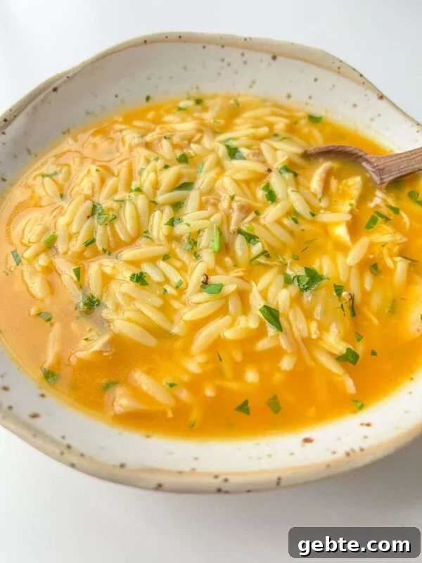 Chicken Soup with Hidden Vegetables for Picky Kids 5 Hidden Veggie Orzo Soup