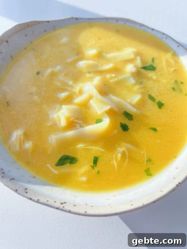 Chicken Soup with Hidden Vegetables for Picky Kids 8 Hidden Veggie Soup