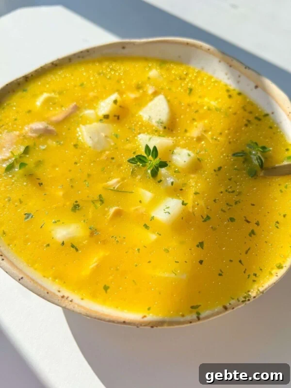 Chicken Soup with Hidden Vegetables for Picky Kids 9 A bowl of Hidden Veggie Chicken Soup with chunks of potato, garnished with herbs.