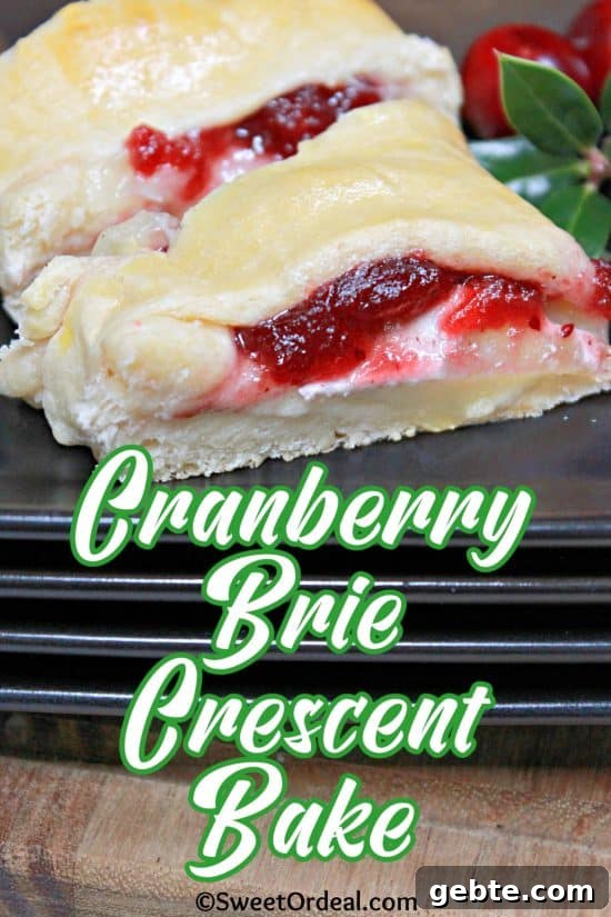 Cranberry and Brie Crescent Bake 2 Cranberry Brie Crescent Bake is a delicious appetizer that looks fancy with little effort.