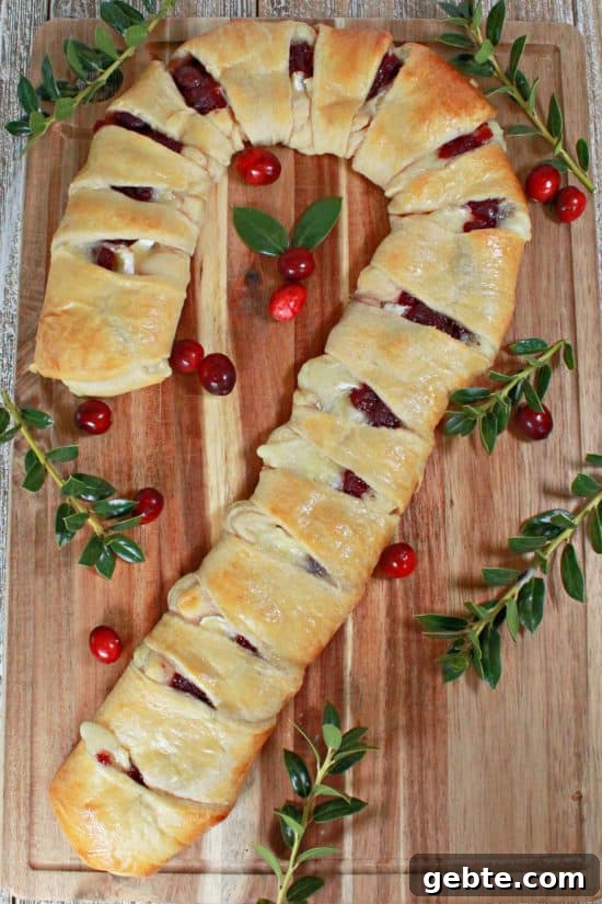 Cranberry and Brie Crescent Bake 3 An appetizer you can customize into shapes, like a candy cane or wreath, has sweet and savory flavors to compliment any meal.