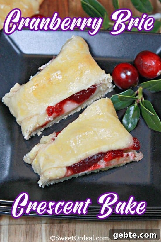 Cranberry and Brie Crescent Bake 5 A sweet-tart filling from cranberries and the savory brie cheese is wrapped in a buttery flaky crust.