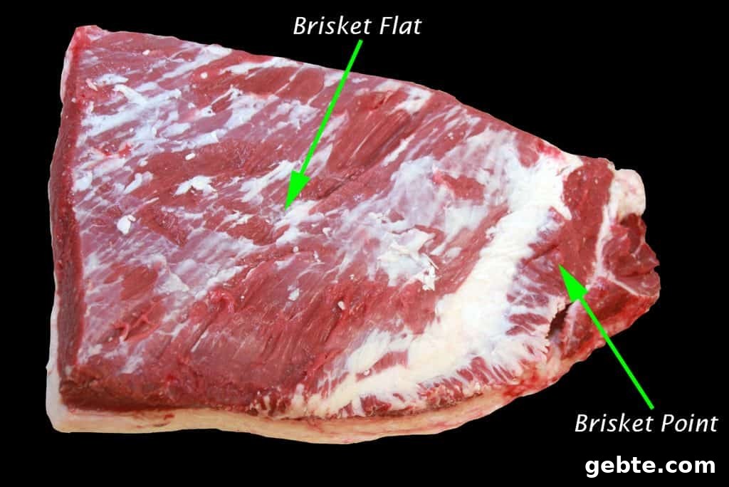 Brisket Cut Explained: What Part of the Cow Is It? 3 diagram showing where the brisket point and brisket flat are
